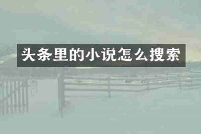 头条里的小说怎么搜索