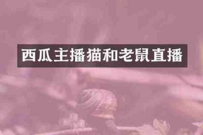 西瓜主播猫和老鼠直播