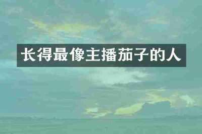 长得最像主播茄子的人