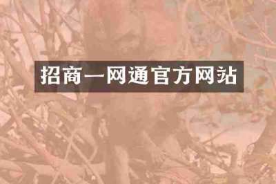 招商一网通官方网站