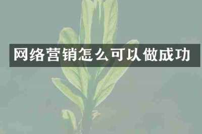 网络营销怎么可以做成功
