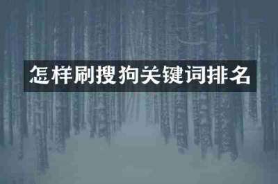 怎样刷搜狗关键词排名
