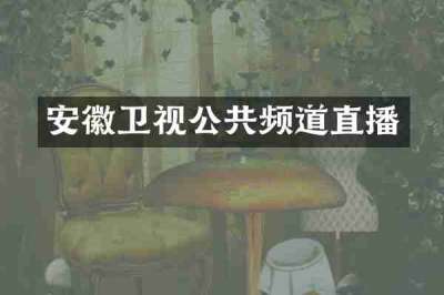 安徽卫视公共频道直播