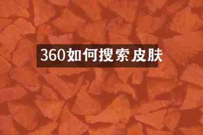 360如何搜索皮肤