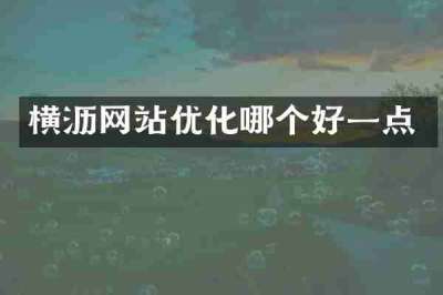 横沥网站优化哪个好一点