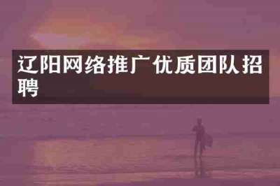 辽阳网络推广优质团队招聘