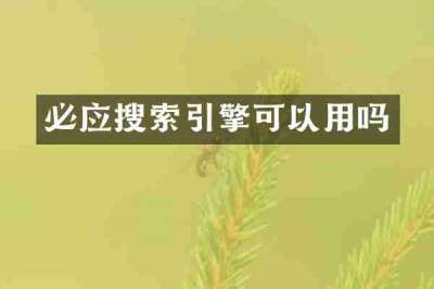 必应搜索引擎可以用吗