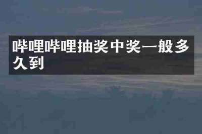 哔哩哔哩抽奖中奖一般多久到