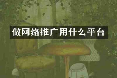 做网络推广用什么平台