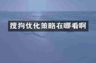 搜狗优化策略在哪看啊