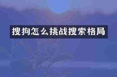 搜狗怎么挑战搜索格局