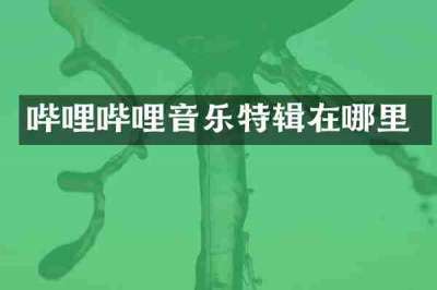 哔哩哔哩音乐特辑在哪里