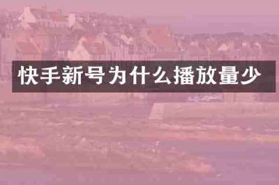 快手新号为什么播放量少