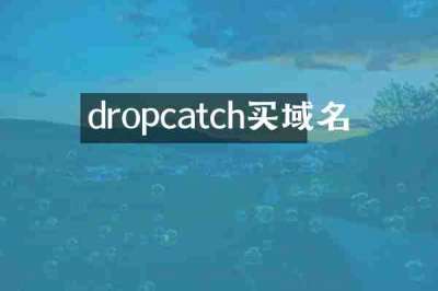 dropcatch买域名