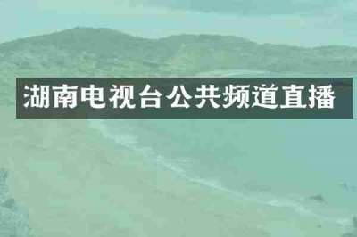 湖南电视台公共频道直播