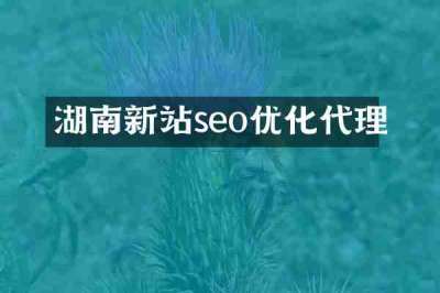 湖南新站seo优化代理