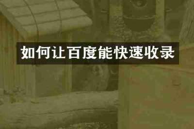 如何让百度能快速收录