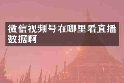 微信视频号在哪里看直播数据啊