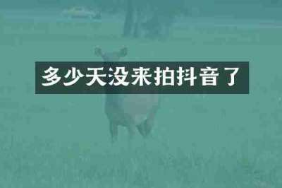 多少天没来拍抖音了