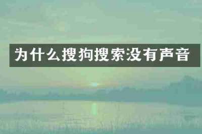 为什么搜狗搜索没有声音