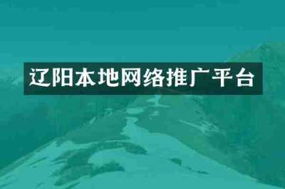 辽阳本地网络推广平台