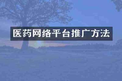 医药网络平台推广方法