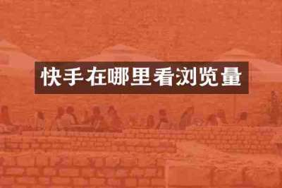快手在哪里看浏览量
