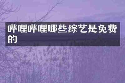 哔哩哔哩哪些综艺是免费的