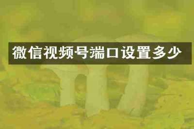 微信视频号端口设置多少
