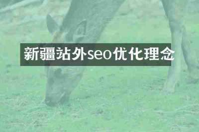 新疆站外seo优化理念