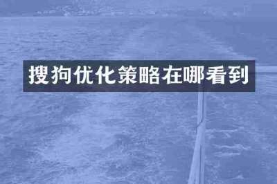 搜狗优化策略在哪看到