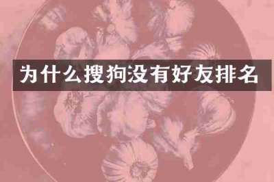 为什么搜狗没有好友排名
