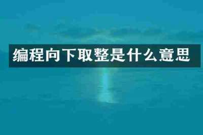 编程向下取整是什么意思