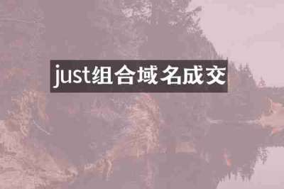 just组合域名成交
