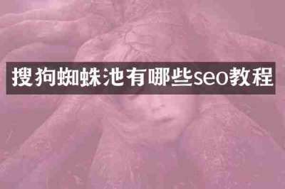 搜狗蜘蛛池有哪些seo教程