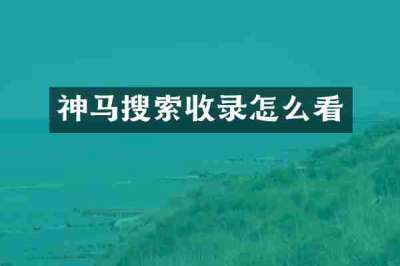 神马搜索收录怎么看