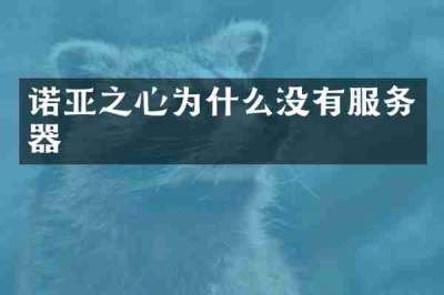 诺亚之心为什么没有服务器