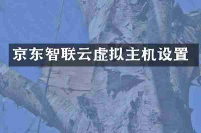 京东智联云虚拟主机设置
