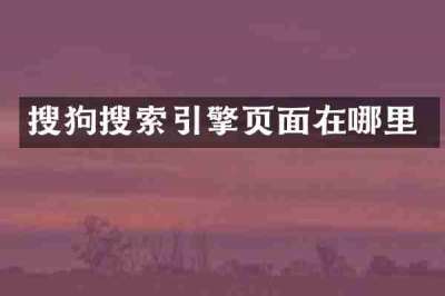 搜狗搜索引擎页面在哪里