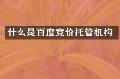 什么是百度竞价托管机构