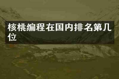 核桃编程在国内排名第几位