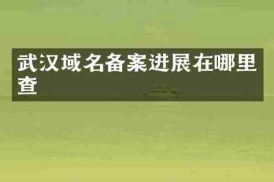 武汉域名备案进展在哪里查