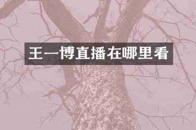 王一博直播在哪里看