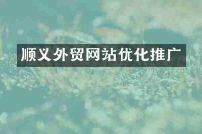 顺义外贸网站优化推广