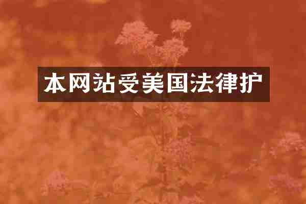 本网站受美国法律护