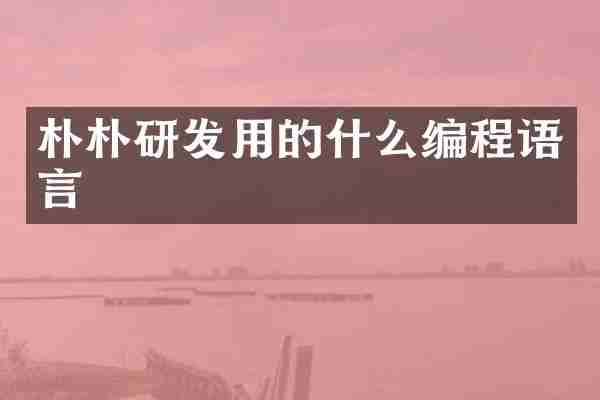 朴朴研发用的什么编程语言