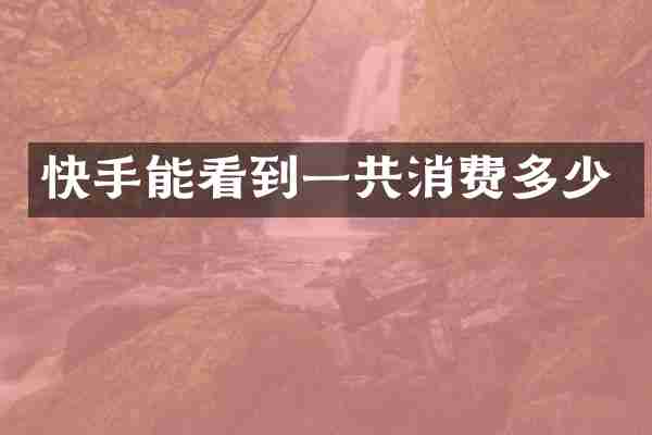 快手能看到一共消费多少