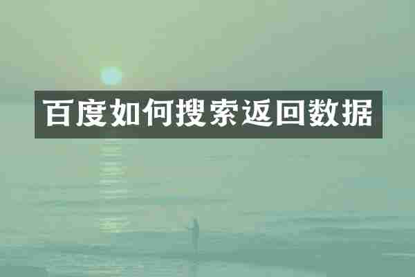 百度如何搜索返回数据