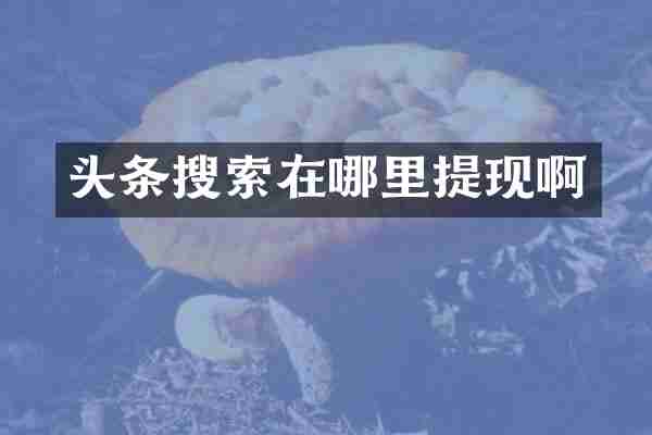 头条搜索在哪里提现啊