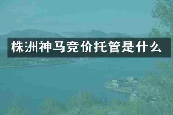 株洲神马竞价托管是什么